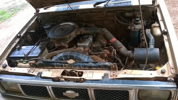 ขายรถกระบะ NISSAN ตอนเดียว เครื่อง TD25 ฝาขาว คัสซีสวยตลอดเส้น ทะเบียนพร้อมโอนครับ ขายรถกระบะ NISSAN ตอนเดียว เครื่อง TD25 ฝาขาว คัสซีสวยตลอดเส้น ทะเบียนพร้อมโอนครับ