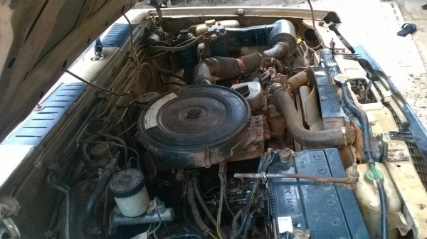 ขายรถกระบะ NISSAN ตอนเดียว เครื่อง TD25 ฝาขาว คัสซีสวยตลอดเส้น ทะเบียนพร้อมโอนครับ ขายรถกระบะ NISSAN ตอนเดียว เครื่อง TD25 ฝาขาว คัสซีสวยตลอดเส้น ทะเบียนพร้อมโอนครับ