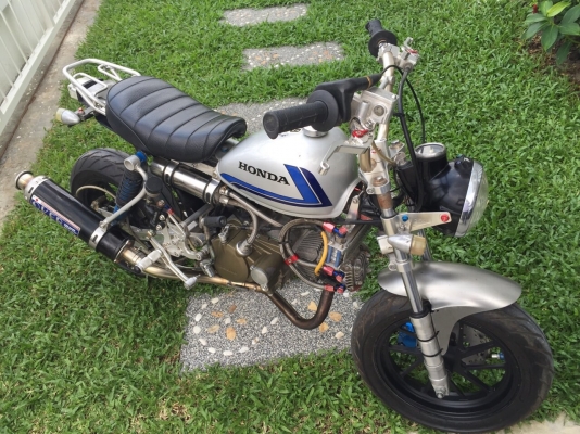 ขาย honda monkey japan