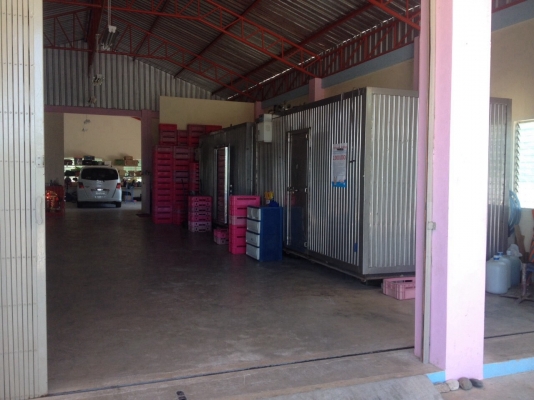 ตู้ตั้งพื้น