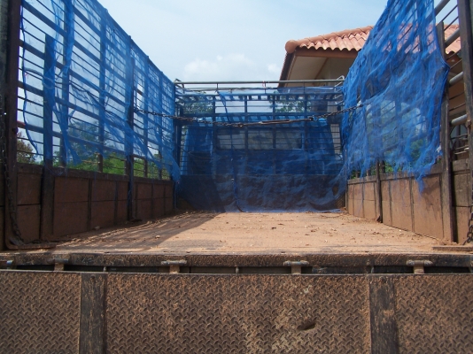 ขายแคนเตอร์ 115 ขายแคนเตอร์ 115