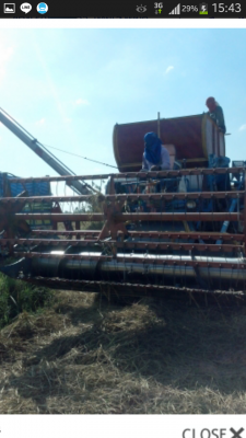 ขายแล้วครับ ขอบคุณแม่คำปุ่น หนองนาคำครับ