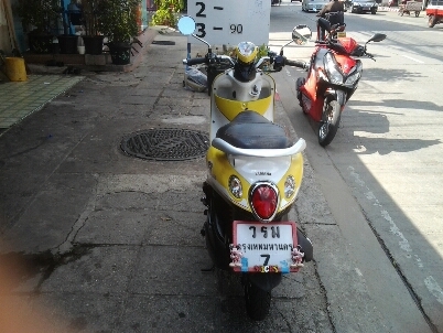 ฟีโน่ปี51