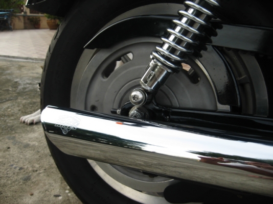 ขาย harley-davidson 883 ปี 06 ทะเบียนแท้ 415,000