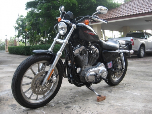 ขาย harley-davidson 883 ปี 06 ทะเบียนแท้ 415,000