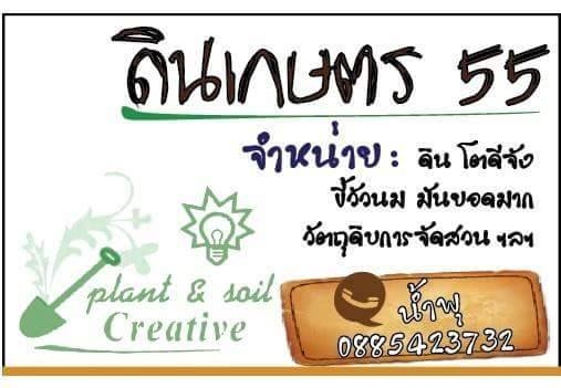 ดินเด็กเกษตร55