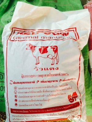 ดินเด็กเกษตร55 ดินเด็กเกษตร55