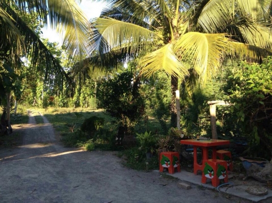 ขายบ้าน 2 หลัง พร้อมที่ดิน 3 ไร่ 3 งาน 13 ตรว. (เจ้าของขายเองค่ะ) .. ขายบ้าน 2 หลัง พร้อมที่ดิน 3 ไร่ 3 งาน 13 ตรว. (เจ้าของขายเองค่ะ) ..