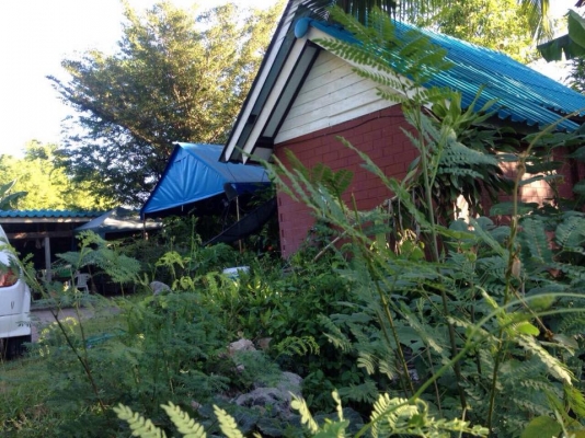 ขายบ้าน 2 หลัง พร้อมที่ดิน 3 ไร่ 3 งาน 13 ตรว. (เจ้าของขายเองค่ะ) .. ขายบ้าน 2 หลัง พร้อมที่ดิน 3 ไร่ 3 งาน 13 ตรว. (เจ้าของขายเองค่ะ) ..