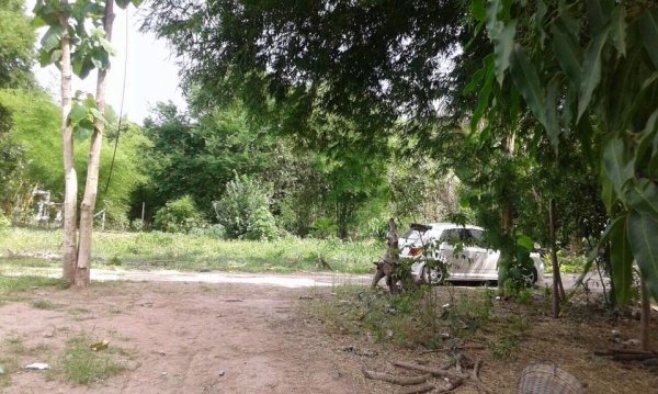 ขายบ้าน 2 หลัง พร้อมที่ดิน 3 ไร่ 3 งาน 13 ตรว. (เจ้าของขายเองค่ะ) .. ขายบ้าน 2 หลัง พร้อมที่ดิน 3 ไร่ 3 งาน 13 ตรว. (เจ้าของขายเองค่ะ) ..