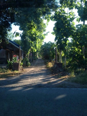 ขายบ้าน 2 หลัง พร้อมที่ดิน 3 ไร่ 3 งาน 13 ตรว. (เจ้าของขายเองค่ะ) .. ขายบ้าน 2 หลัง พร้อมที่ดิน 3 ไร่ 3 งาน 13 ตรว. (เจ้าของขายเองค่ะ) ..