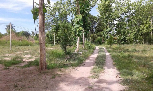 ขายบ้าน 2 หลัง พร้อมที่ดิน 3 ไร่ 3 งาน 13 ตรว. (เจ้าของขายเองค่ะ) .. ขายบ้าน 2 หลัง พร้อมที่ดิน 3 ไร่ 3 งาน 13 ตรว. (เจ้าของขายเองค่ะ) ..