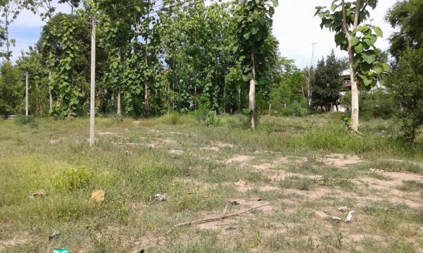 ขายบ้าน 2 หลัง  พร้อมที่ดิน 3 ไร่ 3 งาน 13 ตรว.  (เจ้าของขายเองค่ะ) ..