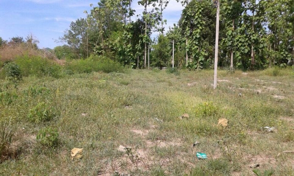 ขายบ้าน 2 หลัง  พร้อมที่ดิน 3 ไร่ 3 งาน 13 ตรว.  (เจ้าของขายเองค่ะ) ..