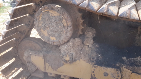 ขาย CAT D4H 520,000 ขาย CAT D4H 520,000