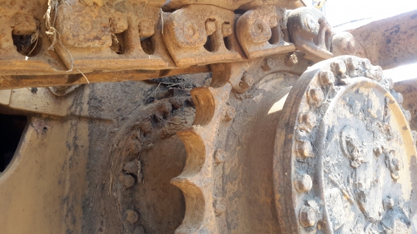 ขาย CAT D4H 520,000 ขาย CAT D4H 520,000