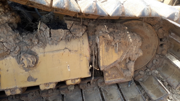 ขาย CAT D4H 520,000 ขาย CAT D4H 520,000