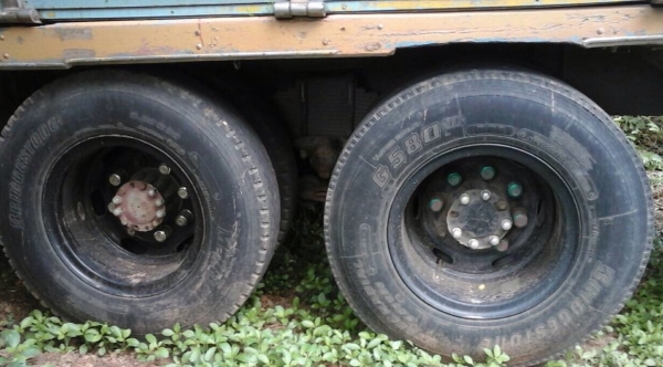 ISUZU TX 185 HP 6BF1 รถหัวยาว 10 ล้อเพลาเดียว กระบะคอกไม้ความยาว 6 เมตรสภาพดีพร้อมบรรทุกหนักได้เลยครับ เครื่องยนต์ 185 แรงลงเล่มครบพร้อม เครื่องแน่นดีแรงดีไม่เยิ้ม ภายในเก๋งคอนโซลครบพร้อม พวงมาลัยธรรมดา ระบบเบรคทริ๊ปฟี้ ช่วงล่างชุดเฟืองกับเพลาท้ายใหญ่ของ