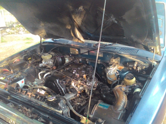 ขายไมตี้แคป 2.5 พวงลัยเพาเวอ เครื่องดี คัดชีสวย ช่วงล่างแน่น แมคลายเนอ พร้อมใช้งาน 79000บ. ขายไมตี้แคป 2.5 พวงลัยเพาเวอ เครื่องดี คัดชีสวย ช่วงล่างแน่น แมคลายเนอ พร้อมใช้งาน 79000บ.