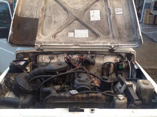 คาริเบี้ยน