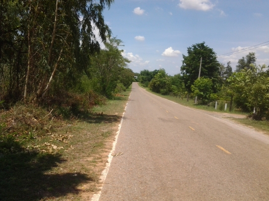 ขอนอกเรื่องหน่อยนะครับ ขายไม้ยูคา 5ไร่  ทั้งสว่น 6000 บาท