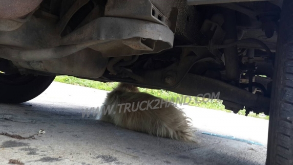 รถบรรทุก 4 ล้อ ข้างเสริม ยี่ห้อ KIA รั้วเหล็ก