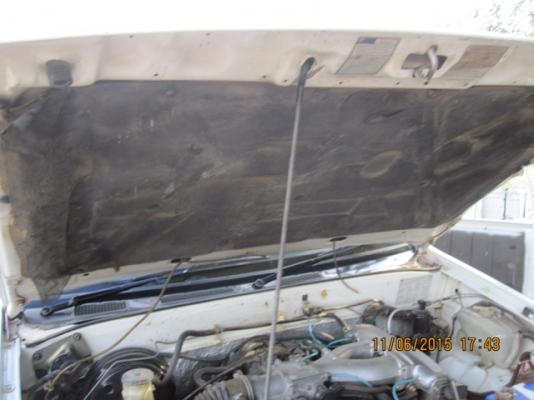 ขายอีซูสุมังกรแค็ป