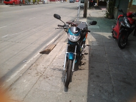 ชูชูกิปี41