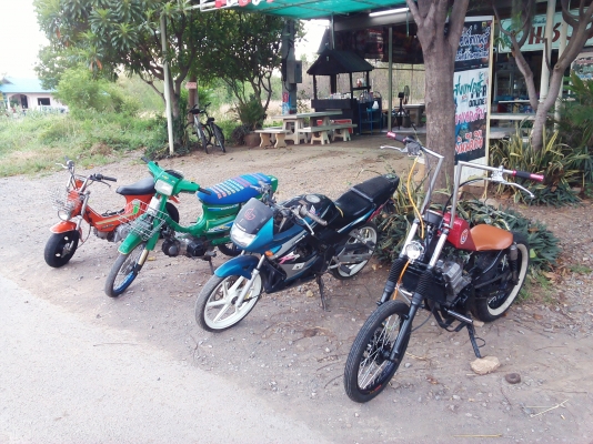 ขายชาลี ล้อโต เครื่องไลฟาน125 สตาร์ทมือ/เท้าได้ ระบบไฟเลี้ยวใช้ได้ทุกจุด เอกสารอินวอย+ใบซื้อขายจากทางร้าน ค่าตัว 13500 บาท