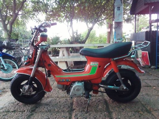 ขายชาลี ล้อโต เครื่องไลฟาน125 สตาร์ทมือ/เท้าได้ ระบบไฟเลี้ยวใช้ได้ทุกจุด เอกสารอินวอย+ใบซื้อขายจากทางร้าน ค่าตัว 13500 บาท
