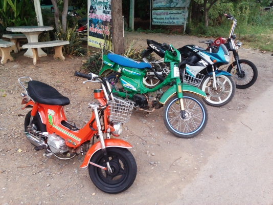 ขายชาลี ล้อโต เครื่องไลฟาน125 สตาร์ทมือ/เท้าได้ ระบบไฟเลี้ยวใช้ได้ทุกจุด เอกสารอินวอย+ใบซื้อขายจากทางร้าน ค่าตัว 13500 บาท