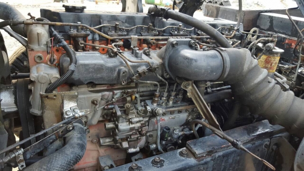 ร็อกกี้ 195 นางฟ้าแท้ ร็อกกี้ 195 นางฟ้าแท้