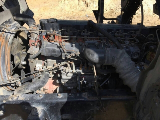 ร็อกกี้ 195 นางฟ้าแท้ ร็อกกี้ 195 นางฟ้าแท้