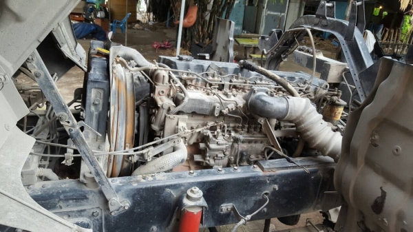 ร็อกกี้ 195 นางฟ้าแท้ ร็อกกี้ 195 นางฟ้าแท้