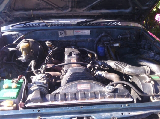 ขาย Mighty สวยๆ ขาย Mighty สวยๆ