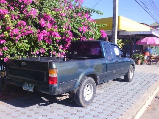 ขาย Mighty สวยๆ ขาย Mighty สวยๆ