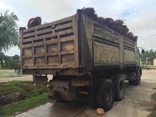 ขายรถ10ล้อดั้มพ์ HINO FM3HNLD เครื่อง 240แรงม้า เกียร์ธรรมดาสโลกลาง สนใจโทร 081-970-1072 ขายรถ10ล้อดั้มพ์ HINO FM3HNLD เครื่อง 240แรงม้า เกียร์ธรรมดาสโลกลาง สนใจโทร 081-970-1072