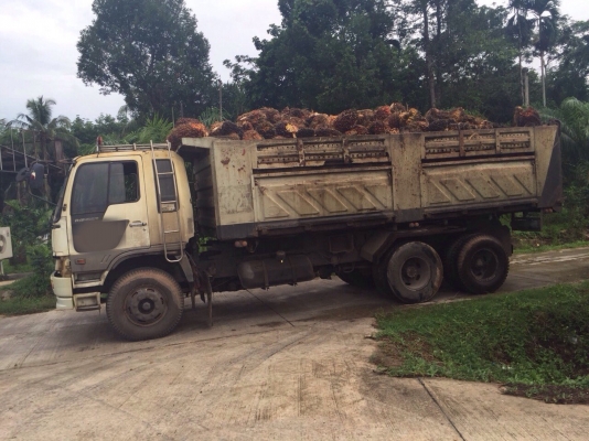 ขายรถ10ล้อดั้มพ์ HINO FM3HNLD เครื่อง 240แรงม้า เกียร์ธรรมดาสโลกลาง สนใจโทร 081-970-1072 ขายรถ10ล้อดั้มพ์ HINO FM3HNLD เครื่อง 240แรงม้า เกียร์ธรรมดาสโลกลาง สนใจโทร 081-970-1072