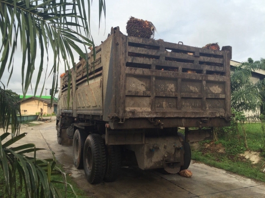 ขายรถ10ล้อดั้มพ์ HINO FM3HNLD เครื่อง 240แรงม้า เกียร์ธรรมดาสโลกลาง สนใจโทร 081-970-1072 ขายรถ10ล้อดั้มพ์ HINO FM3HNLD เครื่อง 240แรงม้า เกียร์ธรรมดาสโลกลาง สนใจโทร 081-970-1072