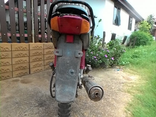 โครงเข็น ไนท์