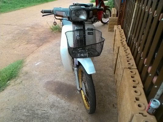 โครงdream คุรุ