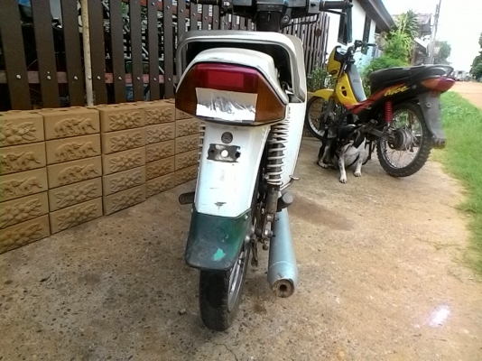 โครงdream คุรุ