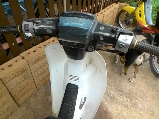 โครงdream คุรุ