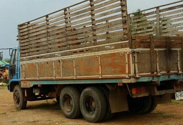 สิบล้อ1เพา อีซูซุ ร็อค175แรง พาเวอร์ ทิฟฟี  สภาพดีสวยพร้อมใช้ ทะเบียนพร้อมโอน