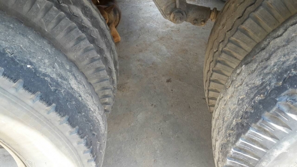 ขายดาวน์รถบรรทุก 24 ล้อพ่วงแม่ลูกดัมพ์ ISUZU DECA 344 แรงม้าปี 2556 ลูกพ่วง 3 เพลาไมล์ 120000 ขายดาวน์ 1350000