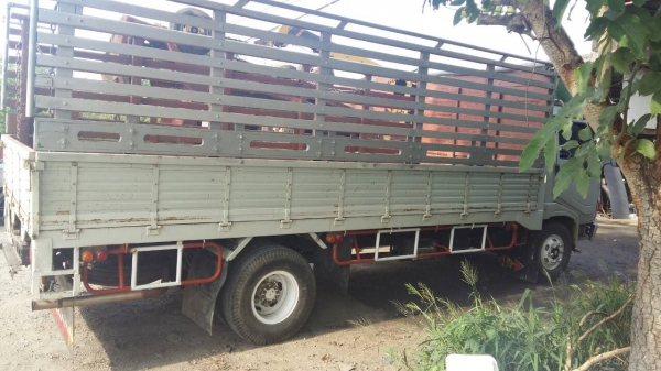 รถหกล้อ hino FC รถห้าง เครื่อง 120 แรง พวงมาลัยเพาเวอร์ เครื่องดีคันชีสวย ภาษีเต็ม เอกสารพร้อมโอน รถหกล้อ hino FC รถห้าง เครื่อง 120 แรง พวงมาลัยเพาเวอร์ เครื่องดีคันชีสวย ภาษีเต็ม เอกสารพร้อมโอน