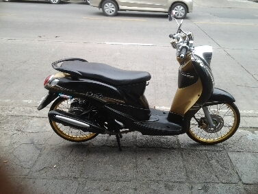 ฟีโน่ปี55