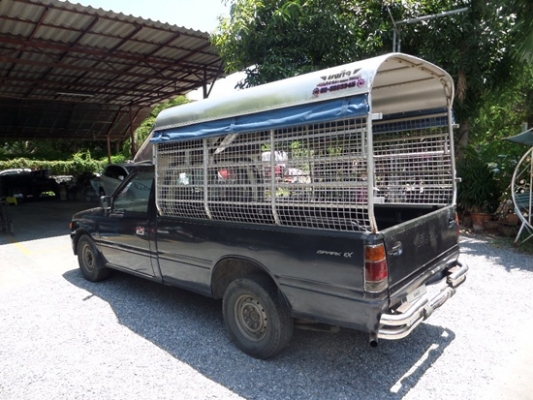 อีซูซุตอนเดียว TFR 2500 SPARK EX ปี 1995