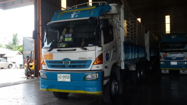 ฝากขายรถฮีโน320แรงพ่วงแม่ลูกดั้มลูกสามเพลาคอกเกษตร