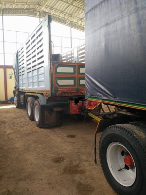 ร็อกกี้ 210 พร้อมลูก 2 คลาน